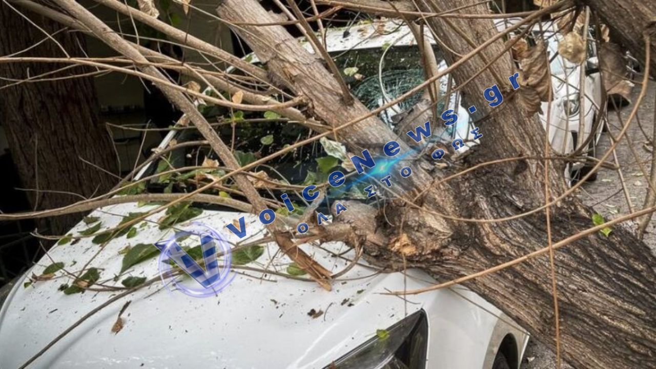Μεθυσμένος οδηγός έπεσε με αυτοκίνητο σε δέντρο στην Πάτρα – Τέσσερις τραυματίες