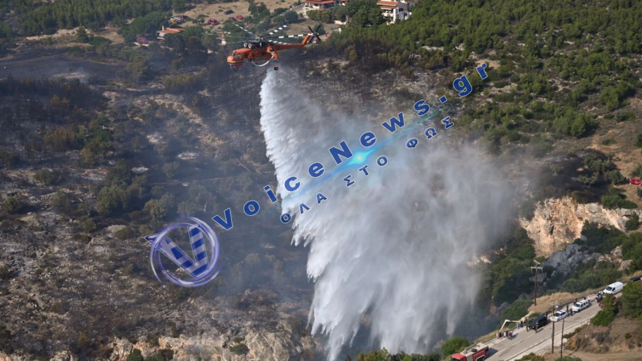 Τρεις συλλήψεις για πυρκαγιές από αμέλεια σε Ηλεία, Κιλκίς και Εύβοια