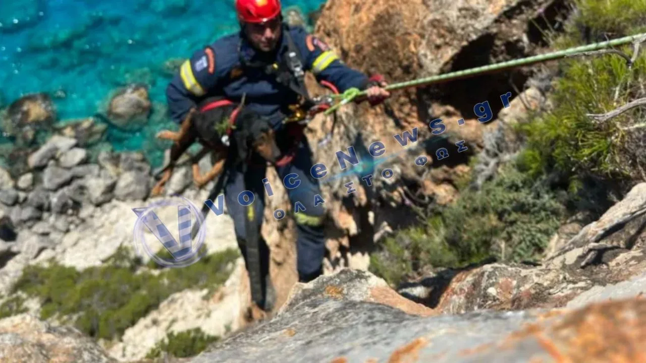 Ζάκυνθος: Πυροσβέστες κατέβηκαν σε γκρεμό για να σώσουν εγκλωβισμένο σκύλο