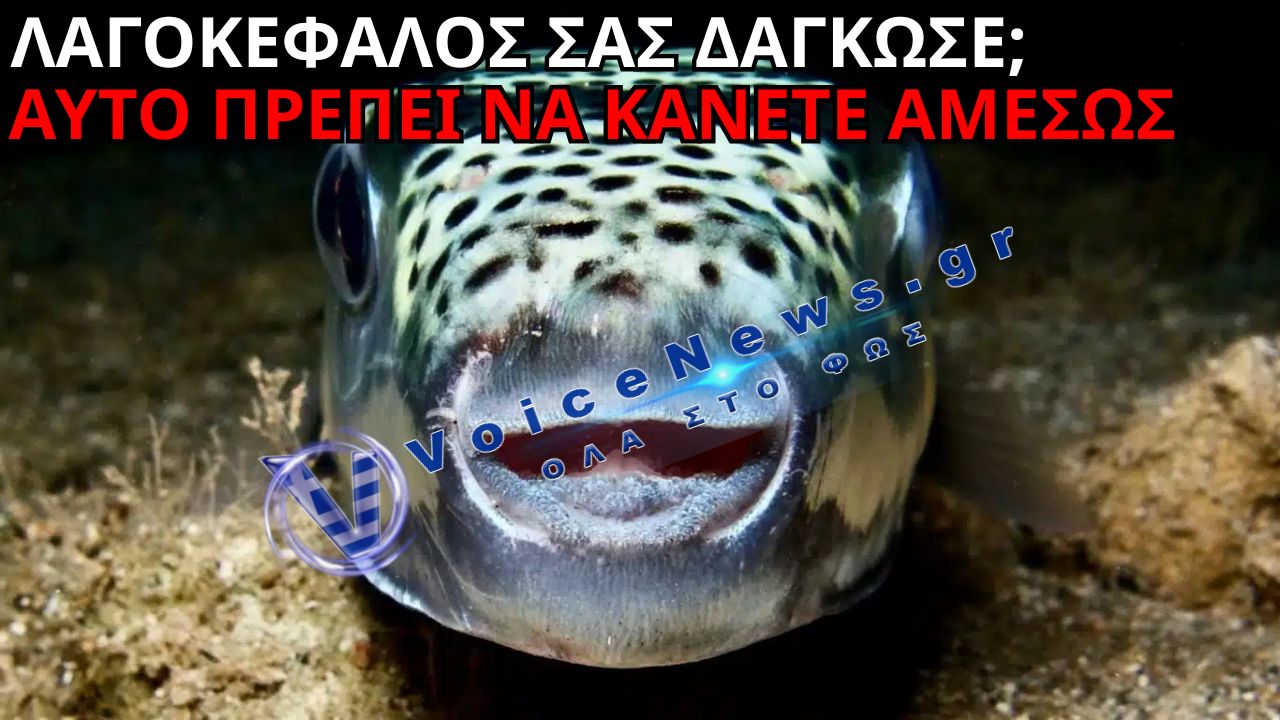 ΤΙ ΝΑ ΚΑΝΕΤΕ ΑΝ ΣΑΣ ΔΑΓΚΩΣΕΙ ΛΑΓΟΚΕΦΑΛΟΣ – ΟΙ ΚΡΙΣΙΜΕΣ ΚΙΝΗΣΕΙΣ ΠΟΥ ΜΠΟΡΟΥΝ ΝΑ ΣΑΣ ΠΡΟΣΤΑΤΕΥΣΟΥΝ