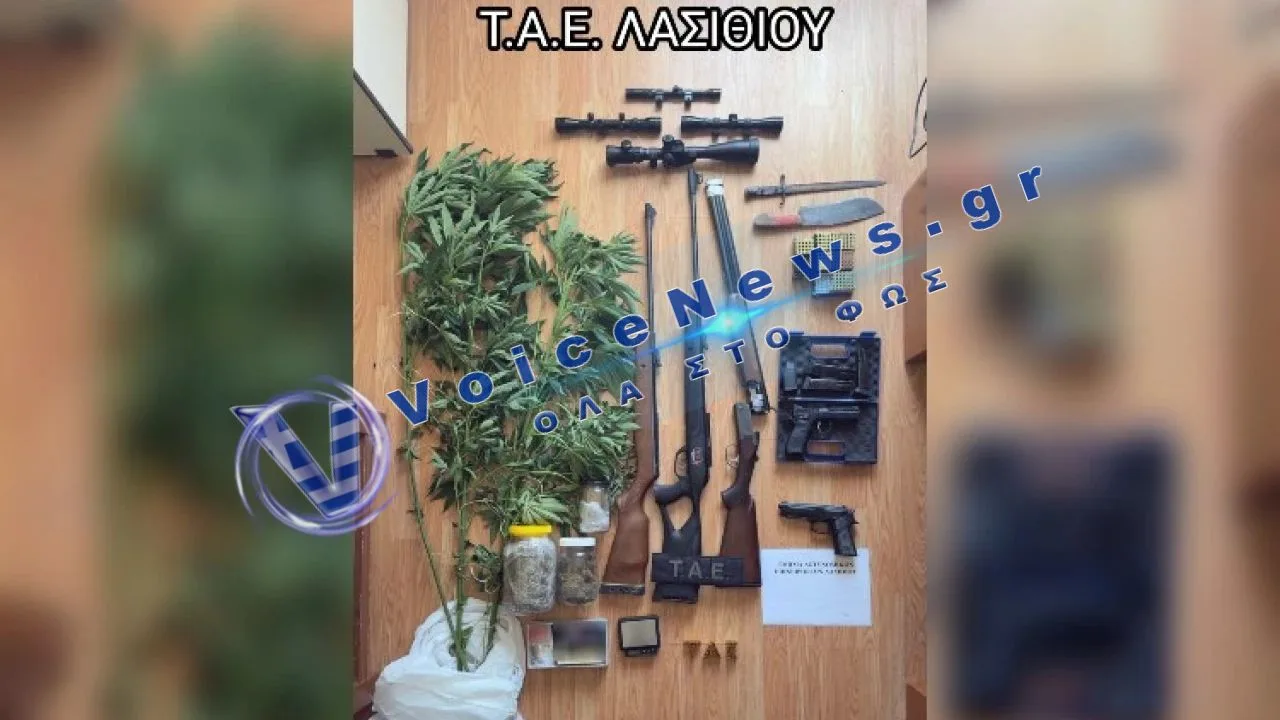 Σητεία: Από τα δενδρύλλια κάνναβης στο «οπλοστάσιο» – Χειροπέδες σε 47χρονο