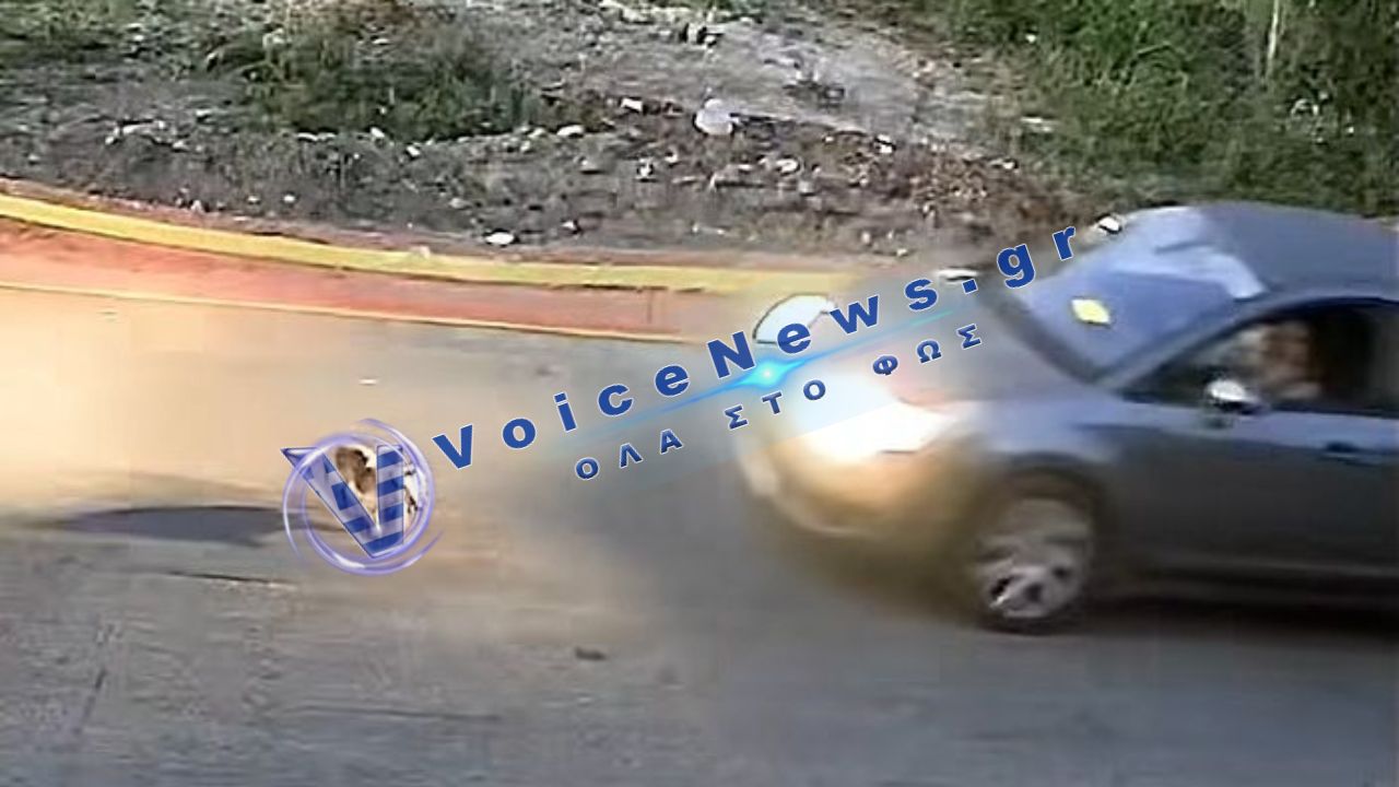 Γαστούνη: Πρόστιμο 50.000 ευρώ σε 60χρονη για θανατηφόρα παράσυρση σκύλου