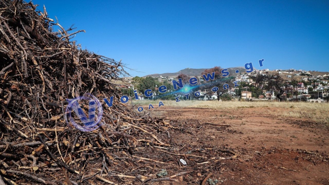 Παράταση έως 22 Ιουνίου για τον καθαρισμό οικοπέδων – τι ισχύει για τους ιδιοκτήτες
