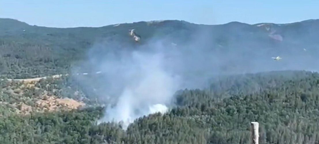 Φωτιά σε δασική έκταση στον Έβρο – Ισχυρές πυροσβεστικές δυνάμεις στο Μέγα Δέρειο