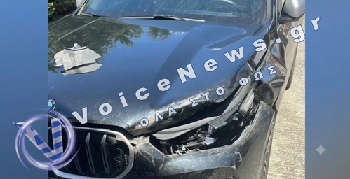 Γρεβενά: Σύγκρουση ΙΧ με μεγαλόσωμη αρκούδα στην Εγνατία Οδό – Στο Κέντρο Υγείας ο αντιδήμαρχος Δεσκάτης