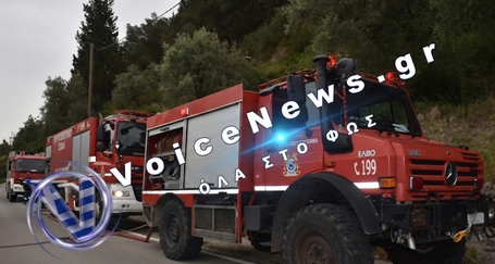 Χαλκιδική: Απαγόρευση κυκλοφορίας σε δάση των Δήμων Κασσάνδρας, Σιθωνίας και Αριστοτέλη λόγω υψηλού κινδύνου πυρκαγιάς
