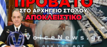 «ΘΑ ΓΕΛΑΣΕΙ ΚΑΙ ΤΟ ΠΑΡΔΑΛΟ ΚΑΤΣΙΚΙ!» – Ο ΑΓΕΝ ΒΛΕΠΕΙ;