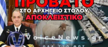 «ΘΑ ΓΕΛΑΣΕΙ ΚΑΙ ΤΟ ΠΑΡΔΑΛΟ ΚΑΤΣΙΚΙ!» – Ο ΑΓΕΝ ΒΛΕΠΕΙ;
