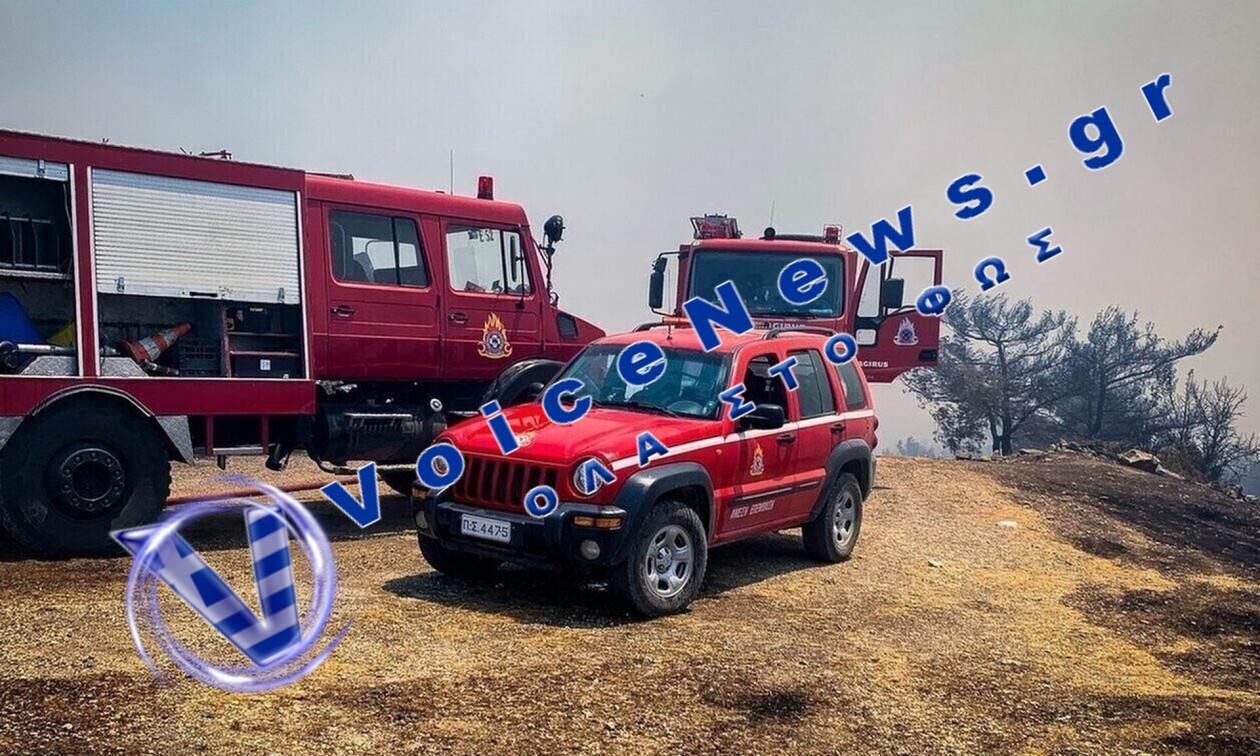 Συνελήφθησαν τρία άτομα για φωτιές από αμέλεια σε Εύβοια, Ροδόπη και Βοιωτία