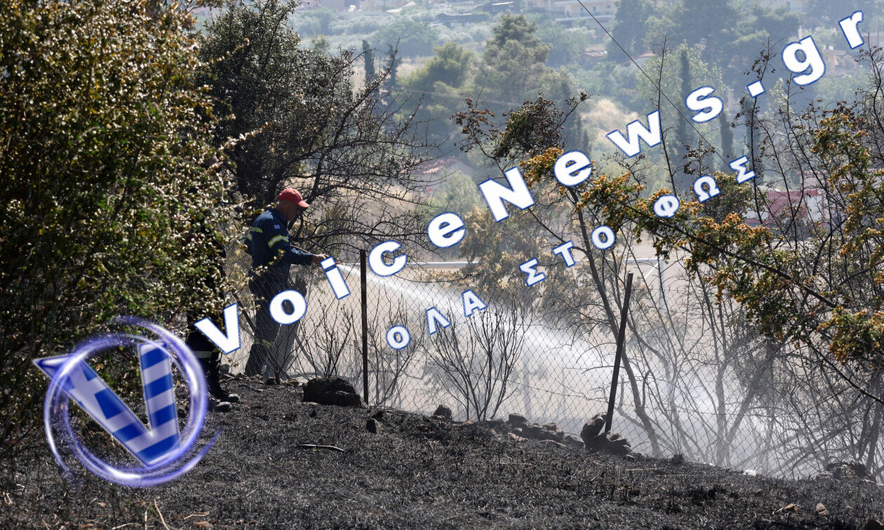Σε ύφεση και χωρίς ενεργό μέτωπο η φωτιά στην Πέτρα Βοιωτίας