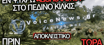 ΑΠΟΚΛΕΙΣΤΙΚΟ ΡΕΠΟΡΤΑΖ: ΠΕΡΙΒΑΛΛΟΝΤΙΚΟ ΕΓΚΛΗΜΑ ΣΤΟ ΠΕΔΙΝΟ ΚΙΛΚΙΣ! ΚΑΤΑΚΡΕΟΥΡΓΗΘΗΚΕ ΔΑΣΟΣ ΜΕ ΥΠΕΡΑΙΩΝΟΒΙΑ ΔΕΝΤΡΑ