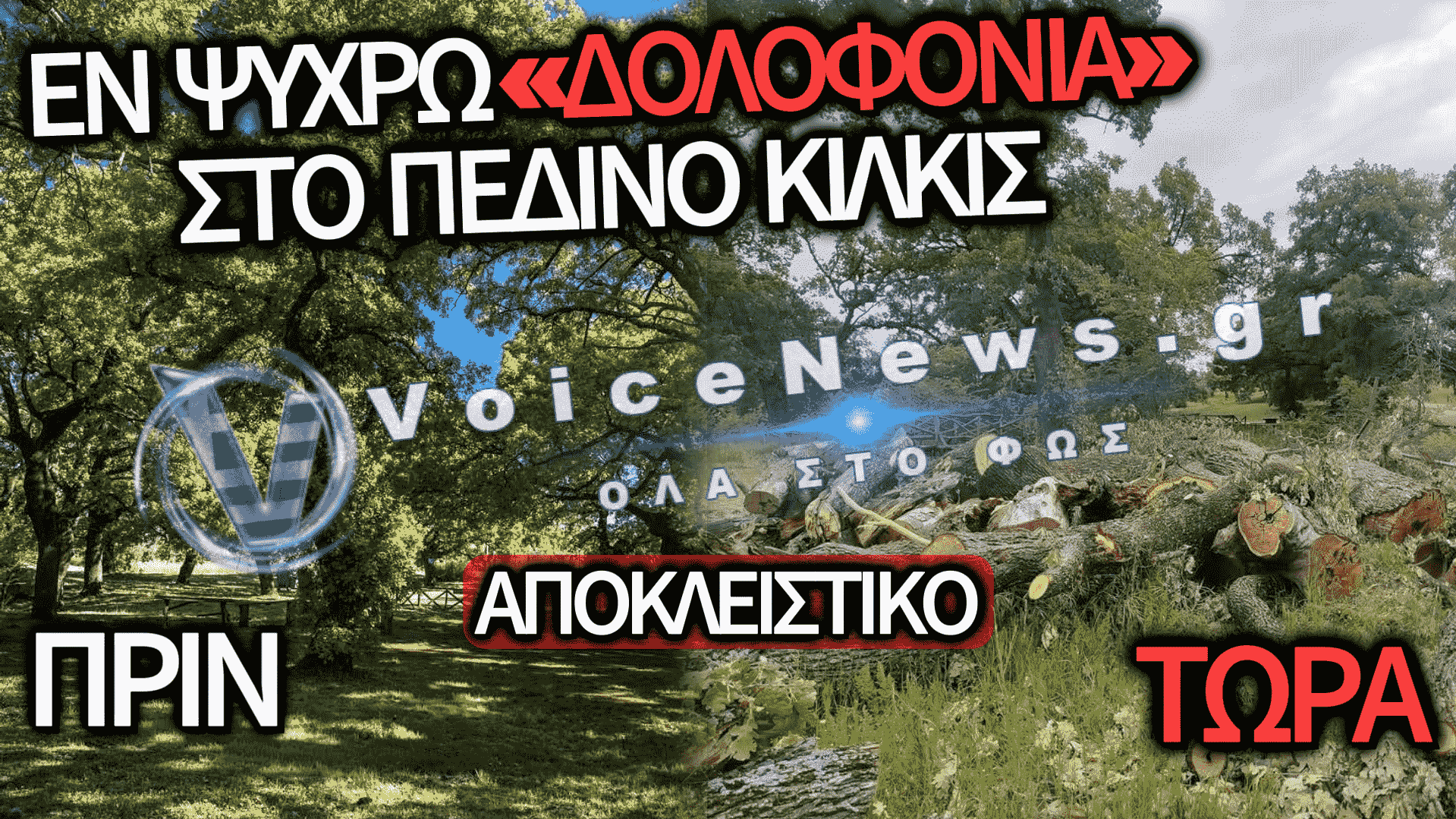 ΑΠΟΚΛΕΙΣΤΙΚΟ ΡΕΠΟΡΤΑΖ: ΠΕΡΙΒΑΛΛΟΝΤΙΚΟ ΕΓΚΛΗΜΑ ΣΤΟ ΠΕΔΙΝΟ ΚΙΛΚΙΣ! ΚΑΤΑΚΡΕΟΥΡΓΗΘΗΚΕ ΔΑΣΟΣ ΜΕ ΥΠΕΡΑΙΩΝΟΒΙΑ ΔΕΝΤΡΑ