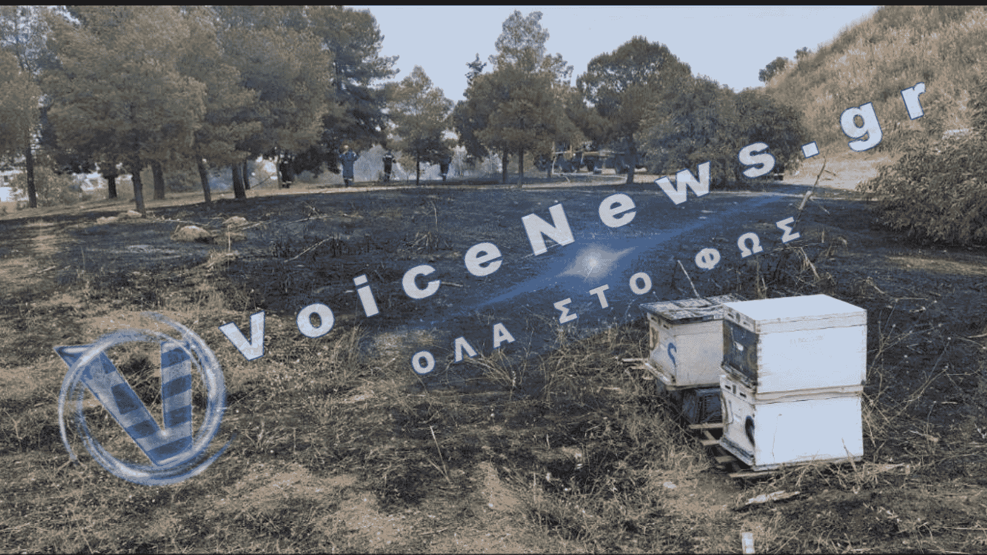 Από μελίσσια η φωτιά στο Άλσος Βεΐκου: Αναζητούνται οι μελισσοκόμοι που εξαφανίστηκαν μόλις άναψαν οι φλόγες