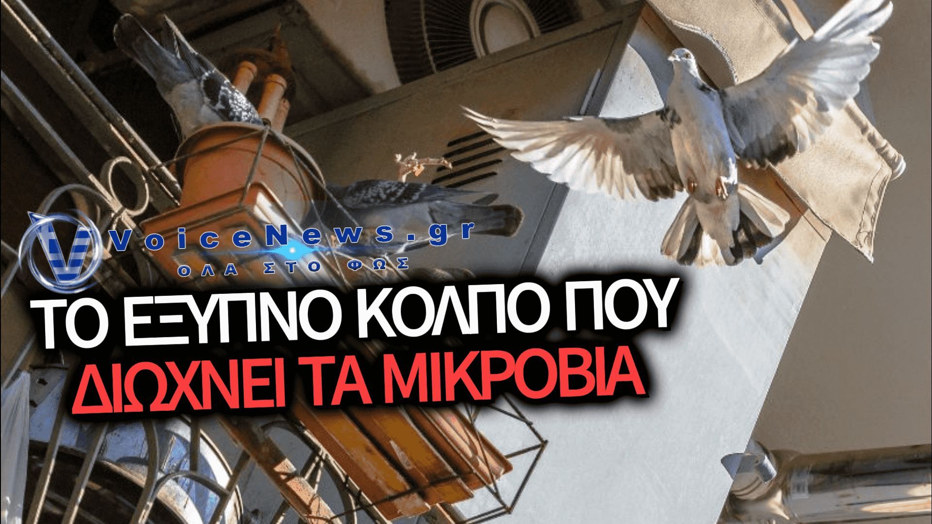 ΠΩΣ ΘΑ ΕΞΑΦΑΝΙΣΕΤΕ ΤΙΣ ΚΟΥΤΣΟΥΛΙΕΣ ΑΠΟ ΤΟ ΜΠΑΛΚΟΝΙ ΧΩΡΙΣ ΝΑ ΚΙΝΔΥΝΕΨΕΙ Η ΥΓΕΙΑ ΣΑΣ!
