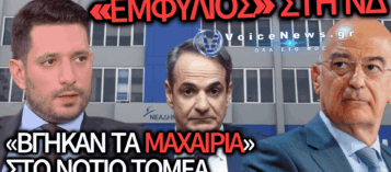 «ΜΗΤΣΟΤΑΚΙΚΟ» ΣΧΕΔΙΟ ΑΠΟΔΟΜΗΣΗΣ ΤΟΥ ΔΕΛΦΙΝΟΥ!