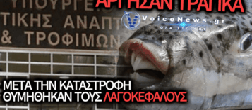 «ΕΠΙΚΗΡΥΞΗ» ΚΑΤΟΠΙΝ ΕΟΡΤΗΣ: ΜΕΤΑ ΤΗΝ ΚΑΤΑΣΤΡΟΦΗ, Η ΚΥΒΕΡΝΗΣΗ ΘΥΜΗΘΗΚΕ ΝΑ ΕΠΙΔΟΤΗΣΕΙ ΤΟ ΚΥΝΗΓΙ ΤΟΥ ΛΑΓΟΚΕΦΑΛΟΥ