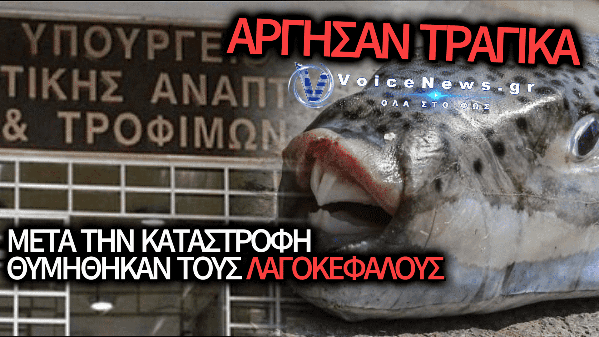 «ΕΠΙΚΗΡΥΞΗ» ΚΑΤΟΠΙΝ ΕΟΡΤΗΣ: ΜΕΤΑ ΤΗΝ ΚΑΤΑΣΤΡΟΦΗ, Η ΚΥΒΕΡΝΗΣΗ ΘΥΜΗΘΗΚΕ ΝΑ ΕΠΙΔΟΤΗΣΕΙ ΤΟ ΚΥΝΗΓΙ ΤΟΥ ΛΑΓΟΚΕΦΑΛΟΥ