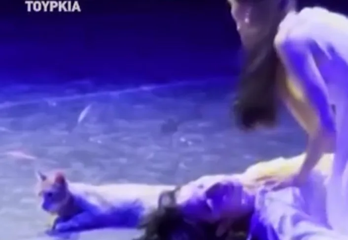 Τουρκία: Γάτα «εισέβαλε» στη σκηνή και έκλεψε την παράσταση στο φινάλε του «Ρωμαίος και Ιουλιέτα»