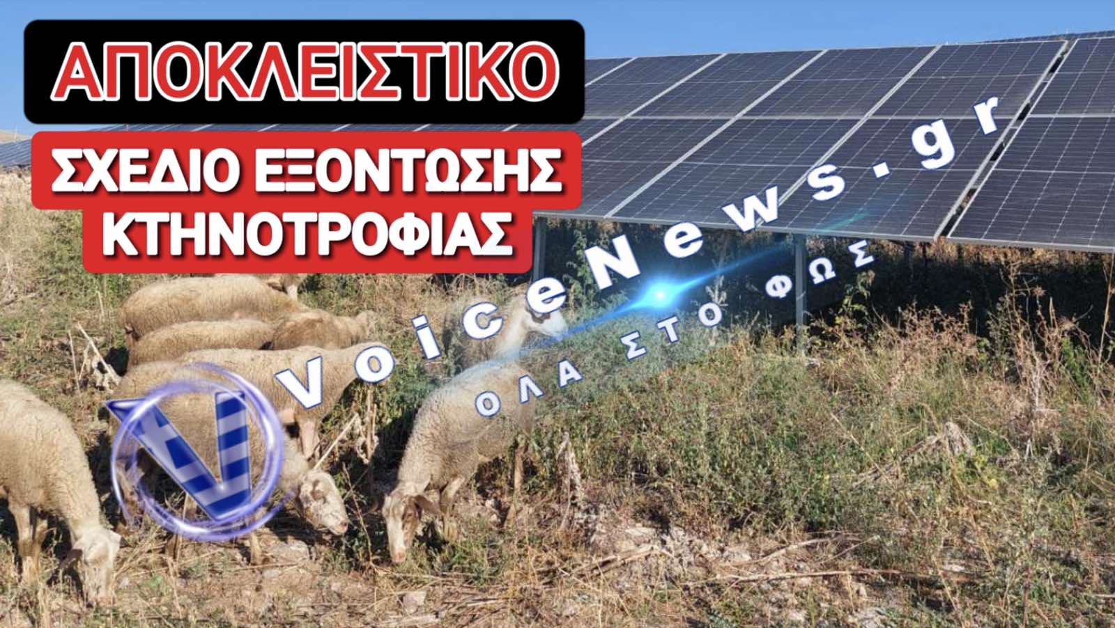 ΚΡΑΥΓΗ ΑΓΩΝΙΑΣ ΚΤΗΝΟΤΡΟΦΟΥ! ΜΑΣ ΔΙΩΧΝΟΥΝ ΑΠΟ ΤΑ ΒΟΥΝΑ ΓΙΑ ΝΑ ΒΑΛΟΥΝ ΦΩΤΟΒΟΛΤΑΙΚΑ!