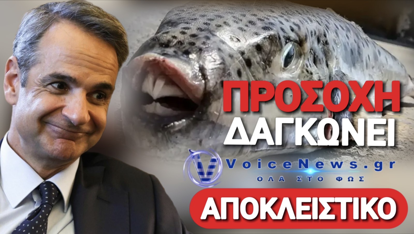 ΠΡΟΕΚΛΟΓΙΚΗ ΑΠΑΤΗ Η ΕΠΙΔΟΤΗΣΗ ΓΙΑ ΤΟ ΨΑΡΕΜΑ ΛΑΓΟΚΕΦΑΛΟΥ!