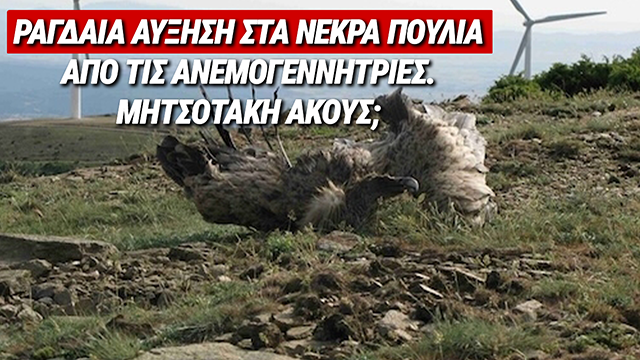 ΣΦΑΓΗ ΣΤΗ ΘΡΑΚΗ: Η ΚΥΒΕΡΝΗΣΗ ΜΗΤΣΟΤΑΚΗ ΘΥΣΙΑΖΕΙ ΤΗ ΒΙΟΠΟΙΚΙΛΟΤΗΤΑ ΣΤΟΝ ΒΩΜΟ ΤΩΝ ΑΝΕΜΟΓΕΝΝΗΤΡΙΩΝ
