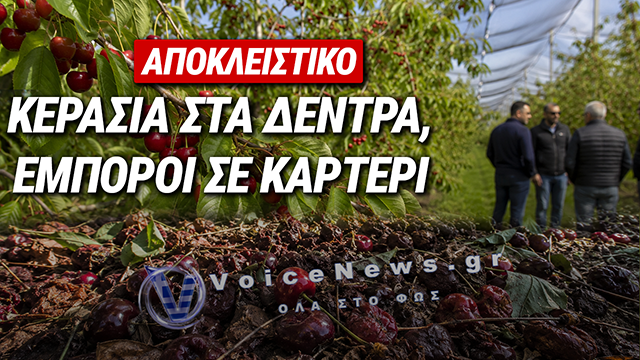 ΚΑΡΤΕΛ ΕΜΠΟΡΩΝ: ΑΦΗΝΟΥΝ ΝΑ ΣΑΠΙΣΟΥΝ ΤΑ ΚΕΡΑΣΙΑ ΤΗΣ ΠΤΟΛΕΜΑΪΔΑΣ