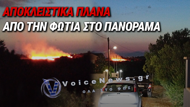 ΠΑΝΟΡΑΜΑ: ΕΛΗΞΕ Ο ΣΥΝΑΓΕΡΜΟΣ ΓΙΑ ΤΗ ΦΩΤΙΑ ΣΕ ΧΑΜΗΛΗ ΒΛΑΣΤΗΣΗ – ΔΕΙΤΕ ΑΠΟΚΛΕΙΣΤΙΚΑ ΠΛΑΝΑ ΑΠΟ ΤΗΝ ΠΥΡΚΑΓΙΑ