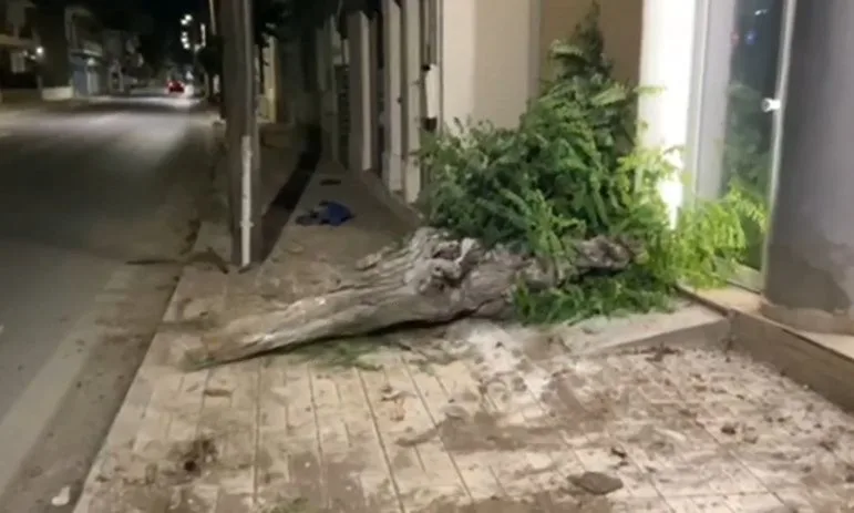 Σοβαρό τροχαίο στην Παλαιά Εθνική Κορίνθου – Πατρών: Αυτοκίνητο καρφώθηκε σε δέντρο και το ξερίζωσε – Σώος ο οδηγός