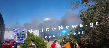 Θεσσαλονίκη: Πυρκαγιά σε εξέλιξη στην περιοχή του Καλοχωρίου κινητοποίησε την πυροσβεστική