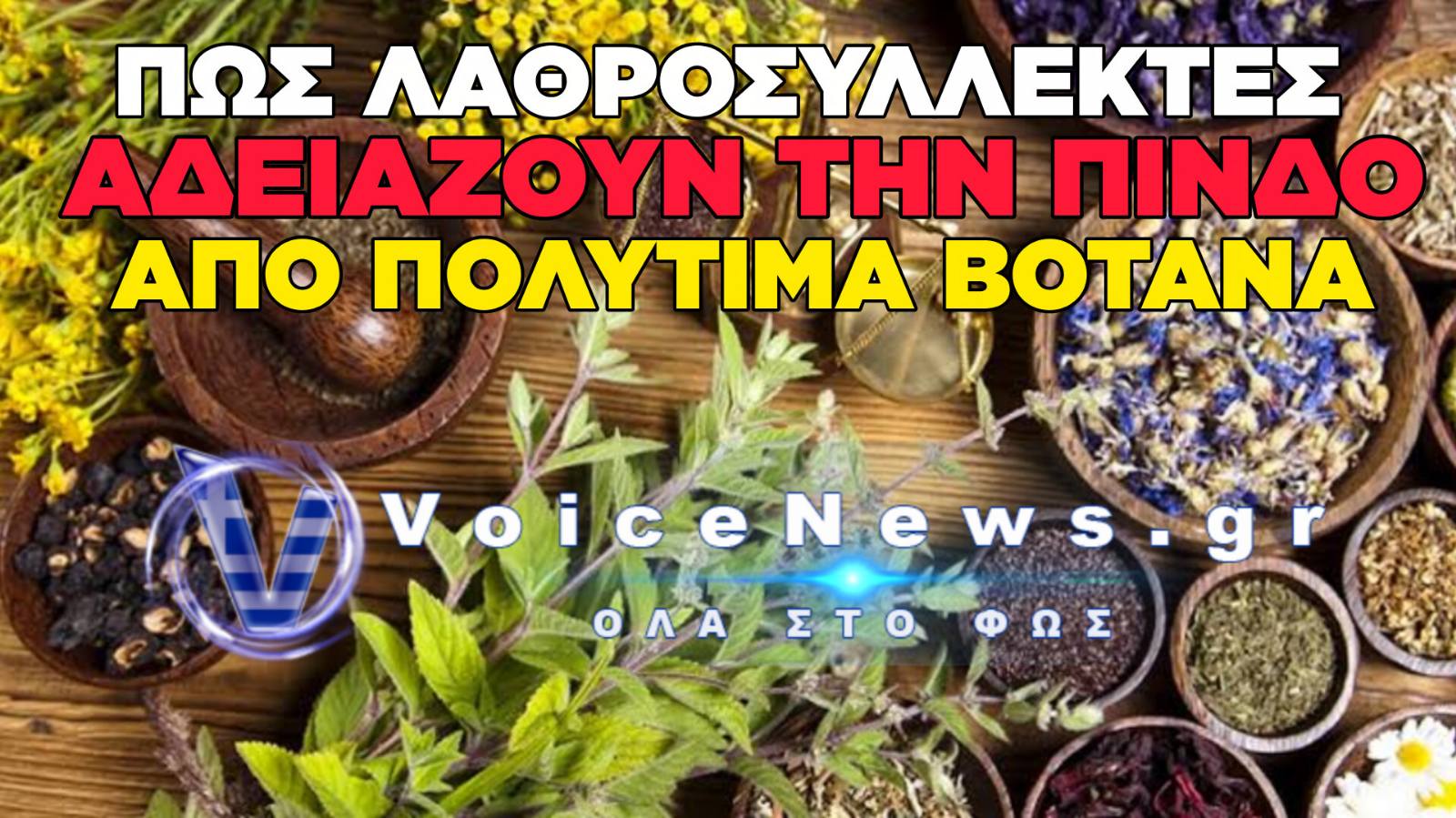 ΕΘΝΙΚΗ ΑΠΕΙΛΗ ΓΙΑ ΤΗ ΒΙΟΠΟΙΚΙΛΟΤΗΤΑ: ΛΑΘΡΕΜΠΟΡΟΙ ΡΗΜΑΖΟΥΝ ΤΟ ΤΣΑΪ ΤΟΥ ΒΟΥΝΟΥ ΚΑΙ ΤΗ ΡΙΓΑΝΗ ΣΤΗΝ ΠΙΝΔΟ