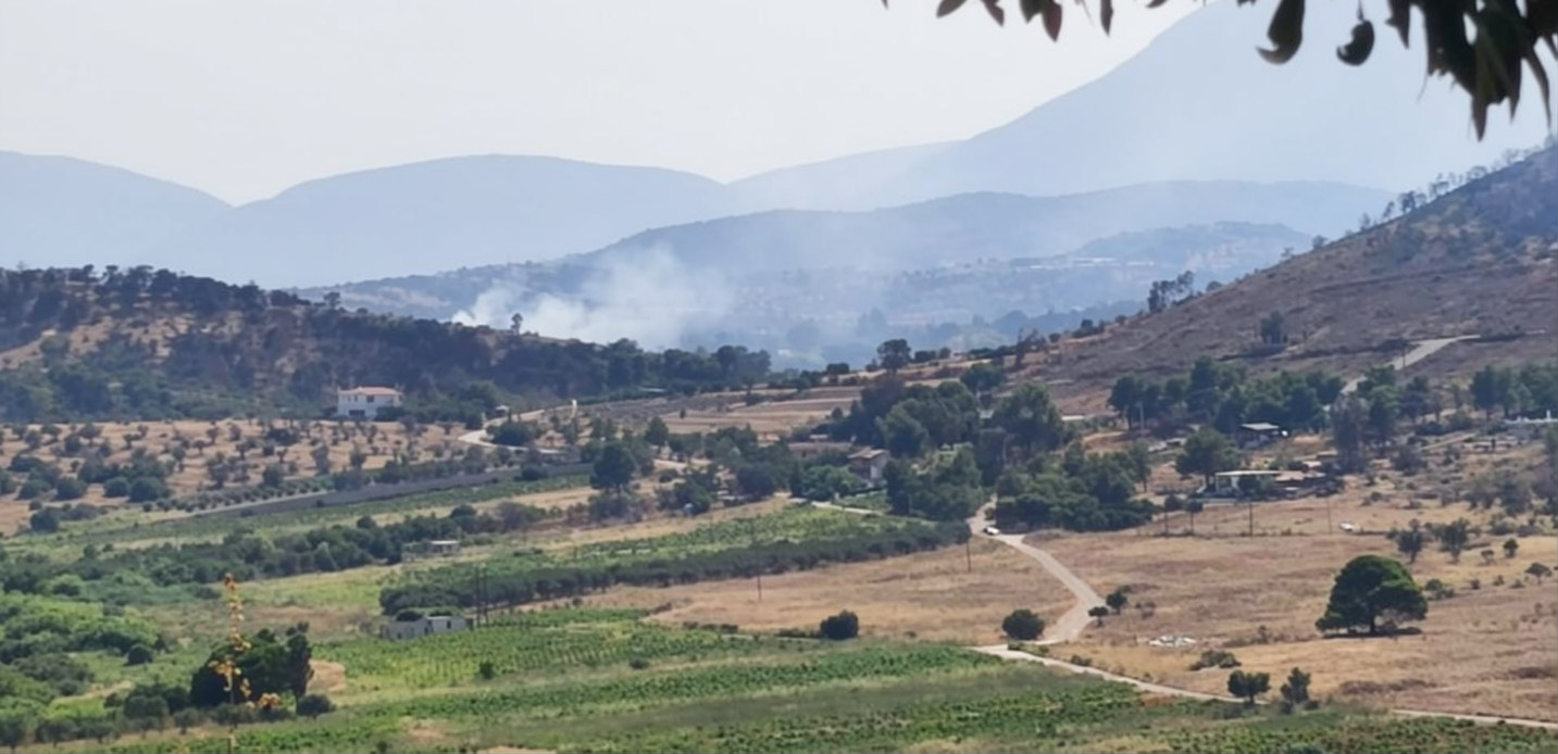 Οριοθετήθηκε η φωτιά σε χαμηλή βλάστηση στην περιοχή Ήμερο Πεύκο στα Σπάτα