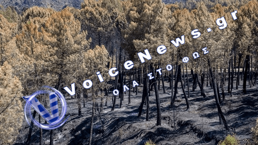 Φωτιές στην Ισπανία: Κάηκαν 260.000 στρέμματα – Εκκενώθηκαν 28 οικισμοί