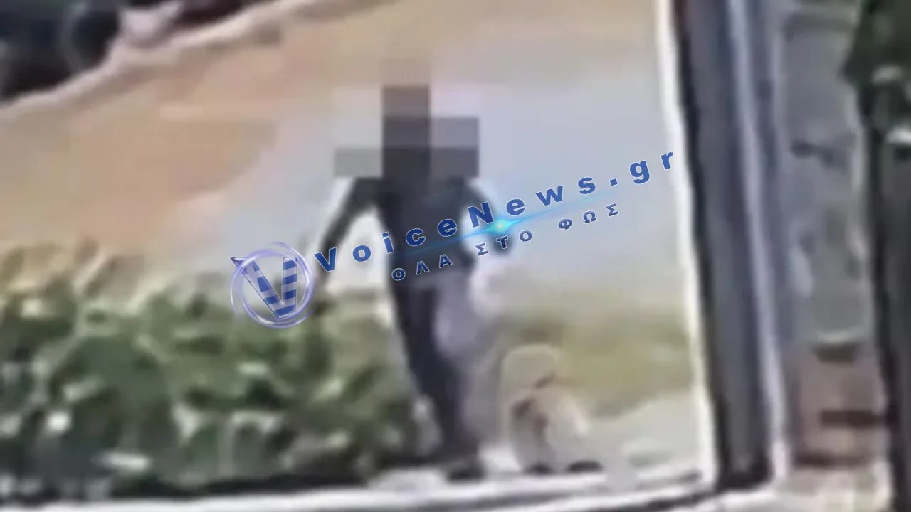 Κτηνωδία στο Άστρος: Σέρνει νεκρό σκύλο με σύρμα στον λαιμό και τον πετά σε κάδο – Στο μικροσκόπιο των Αρχών