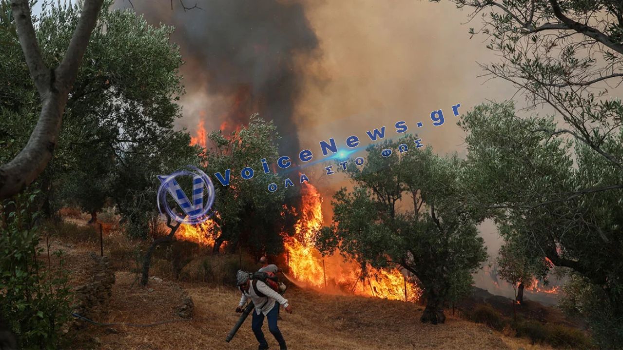 Κόλαση στο Ρέθυμνο: Οι άνεμοι καθηλώνουν τα εναέρια μέσα – Μάχη ζωής σε μέτωπο άνω των 15 χιλιομέτρων