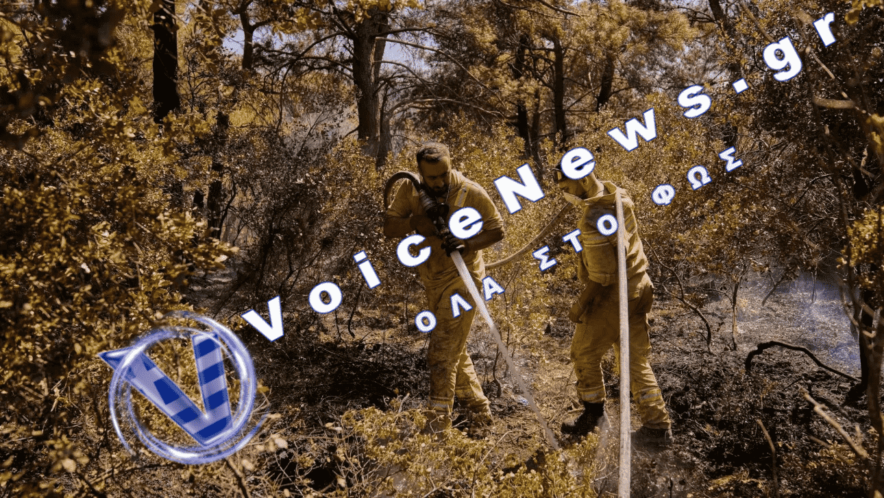 Περισσότεροι από 3.500 πυροσβέστες επιχειρούν στις φωτιές στην Τουρκία