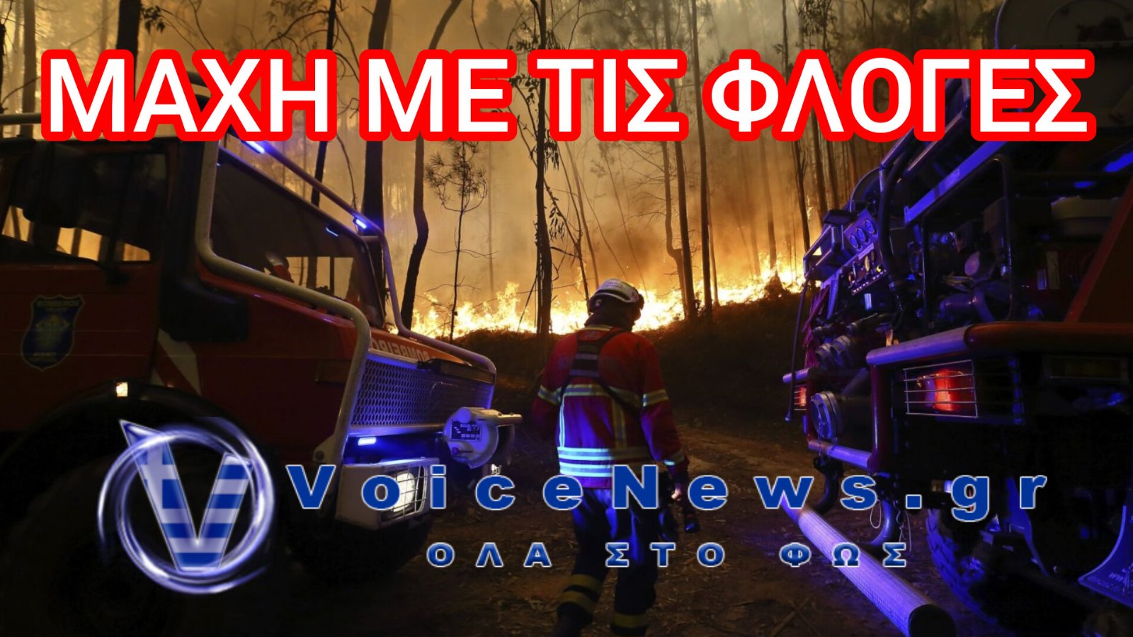 Υπό έλεγχο η μεγάλη φωτιά στην Πορτογαλία – Στάχτη πάνω από 130.000 στρέμματα