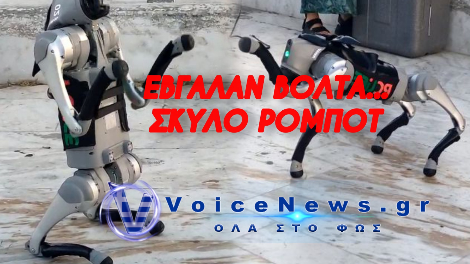 ΔΕΝ ΠΑΜΕ ΚΑΛΑ! ΔΕΙΤΕ ΤΙ ΕΜΦΑΝΙΣΤΗΚΕ ΣΤΟΥΣ ΔΡΟΜΟΥΣ ΤΗΣ ΘΕΣΣΑΛΟΝΙΚΗΣ