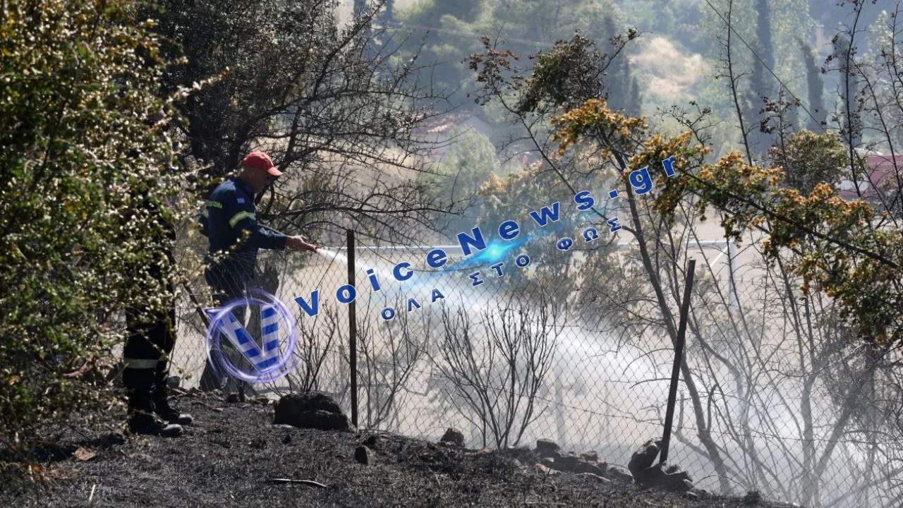 Φωτιά στο Φράγμα Θέρμης: Μεγάλη κινητοποίηση της Πυροσβεστικής στη Θεσσαλονίκη