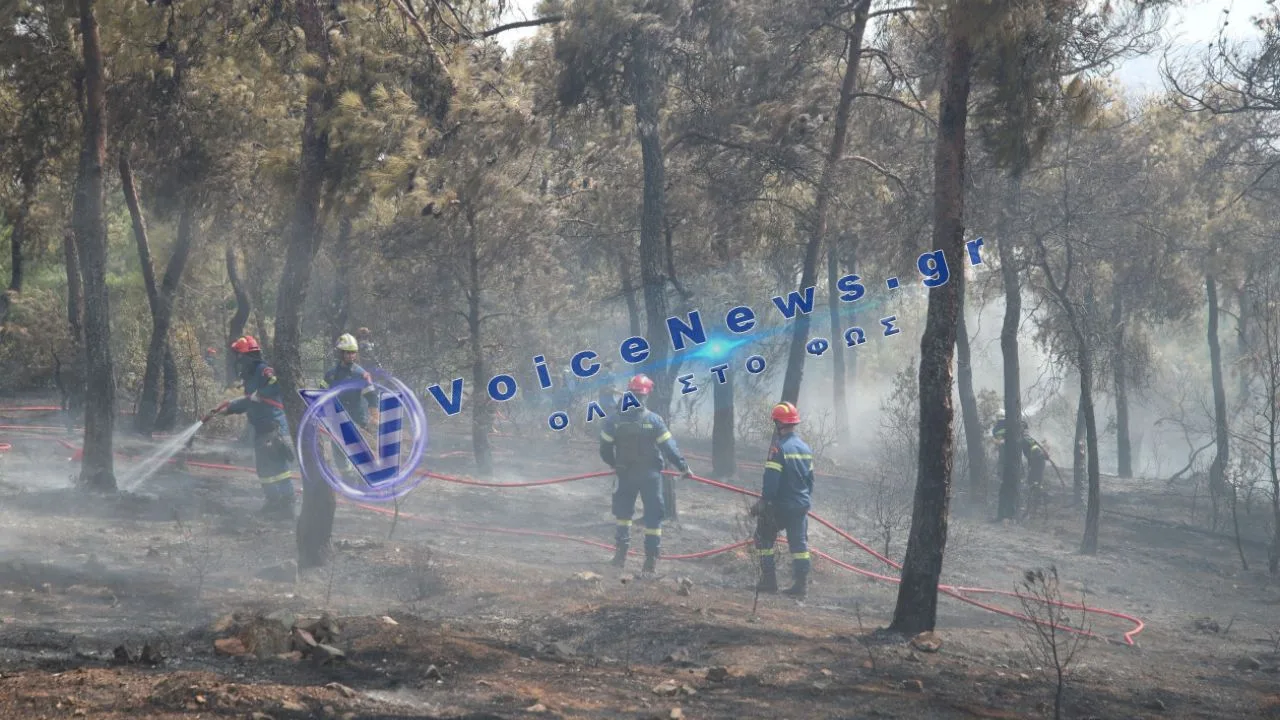 Θεσσαλονίκη: Απαγόρευση κυκλοφορίας σε δάση λόγω πολύ υψηλού κινδύνου πυρκαγιάς