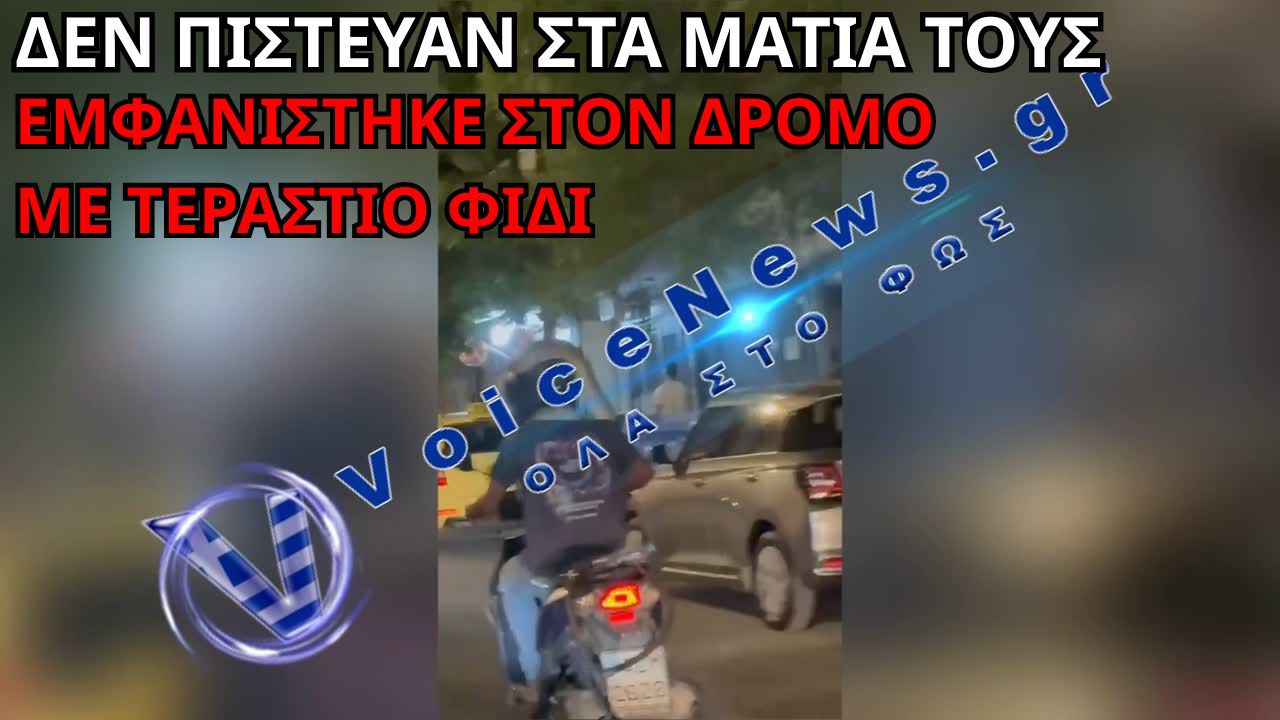 ΑΠΙΣΤΕΥΤΟ ΣΤΗΝ ΑΘΗΝΑ – ΟΔΗΓΟΣ ΜΗΧΑΝΗΣ ΣΤΟ ΔΡΟΜΟ ΜΕ ΤΕΡΑΣΤΙΟ ΦΙΔΙ ΣΤΟΝ ΛΑΙΜΟ ΤΟΥ