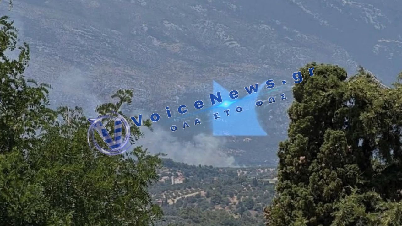 Συναγερμός στην Εύβοια: Μεγάλη φωτιά στην Επισκοπή – Μήνυμα 112 για άμεση εκκένωση του χωριού
