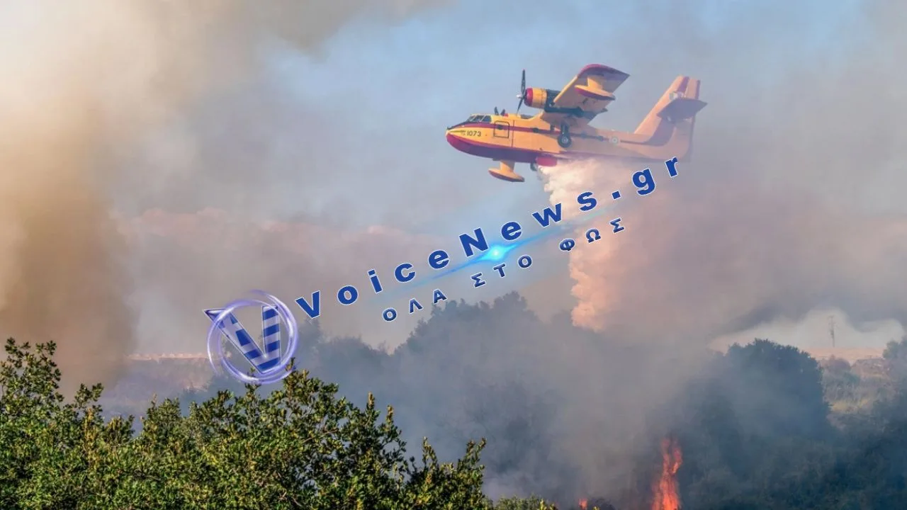 Βασιλικά Θεσσαλονίκης: Σπίθες από εργασίες προκάλεσαν τη φωτιά – Συνελήφθη ο υπεύθυνος