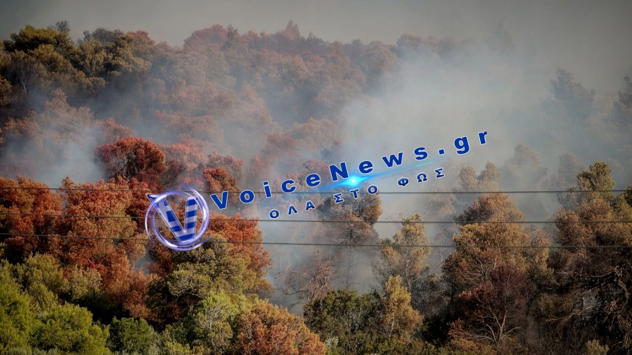 Χωρίς ενεργό μέτωπο η φωτιά στην Οινόη – Συνεχίζονται οι επιχειρήσεις κατάσβεσης