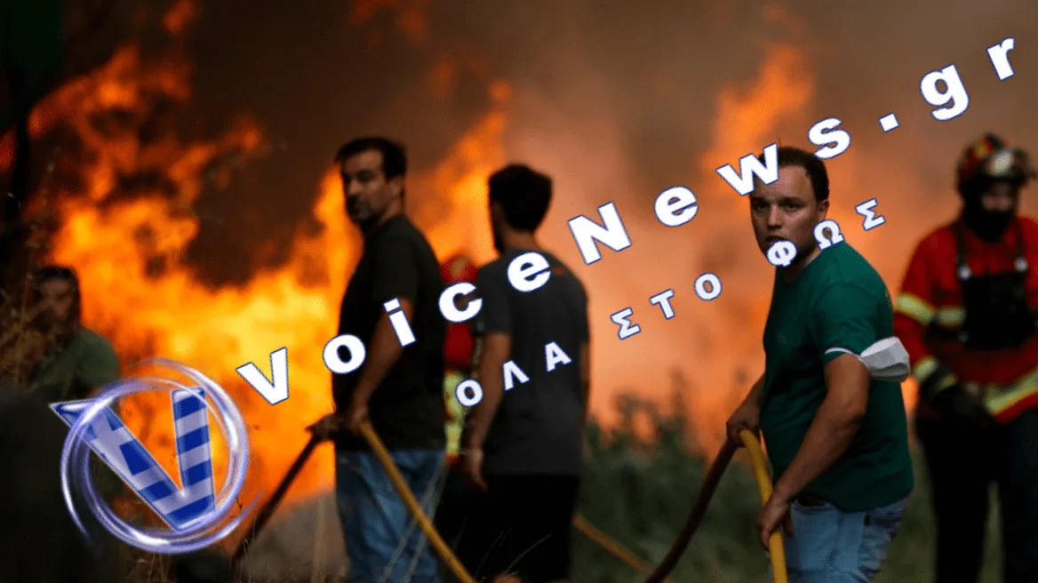 Συναγερμός στο Νότιο Πήλιο: Μεγάλη φωτιά σε δασική έκταση στο Νεοχώρι Μαγνησίας