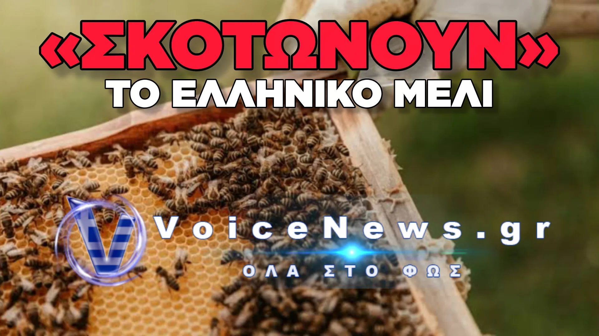 ΞΕΚΛΗΡΙΖΟΥΝ ΤΗ ΜΕΛΙΣΣΟΚΟΜΙΑ, ΠΝΙΓΟΥΝ ΤΗΝ ΑΓΟΡΑ ΣΤΗ ΝΟΘΕΙΑ: ΤΟ ΚΡΑΤΟΣ ΠΑΡΑΚΟΛΟΥΘΕΙ ΑΜΕΤΟΧΟ ΤΗΝ ΚΑΤΑΣΤΡΟΦΗ ΤΩΝ ΕΛΛΗΝΩΝ ΠΑΡΑΓΩΓΩΝ