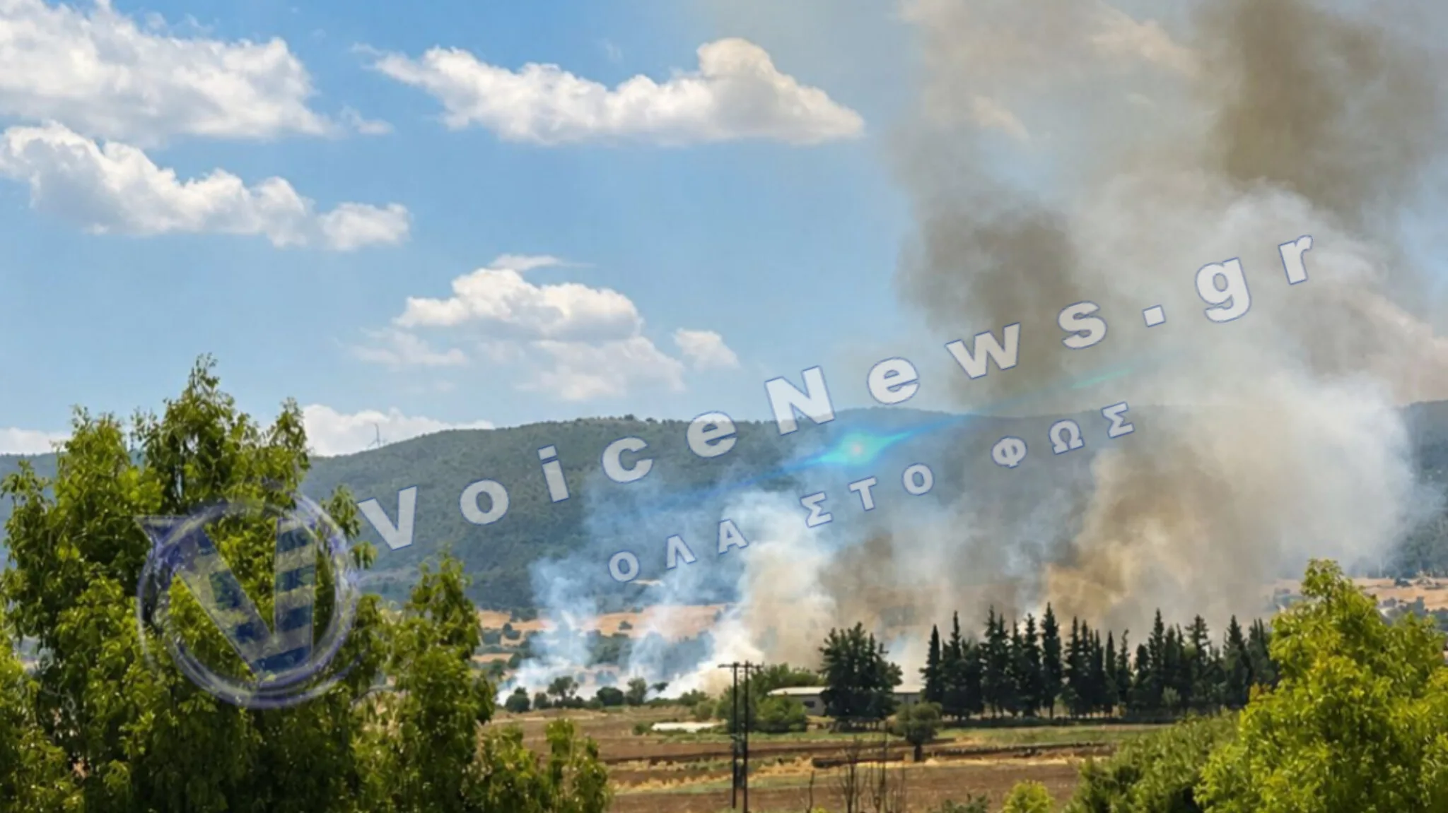 Φωτιά στην Τανάγρα: Συναγερμός στον Άγιο Θωμά Οινοφύτων – Επιχειρούν επίγειες και εναέριες δυνάμεις