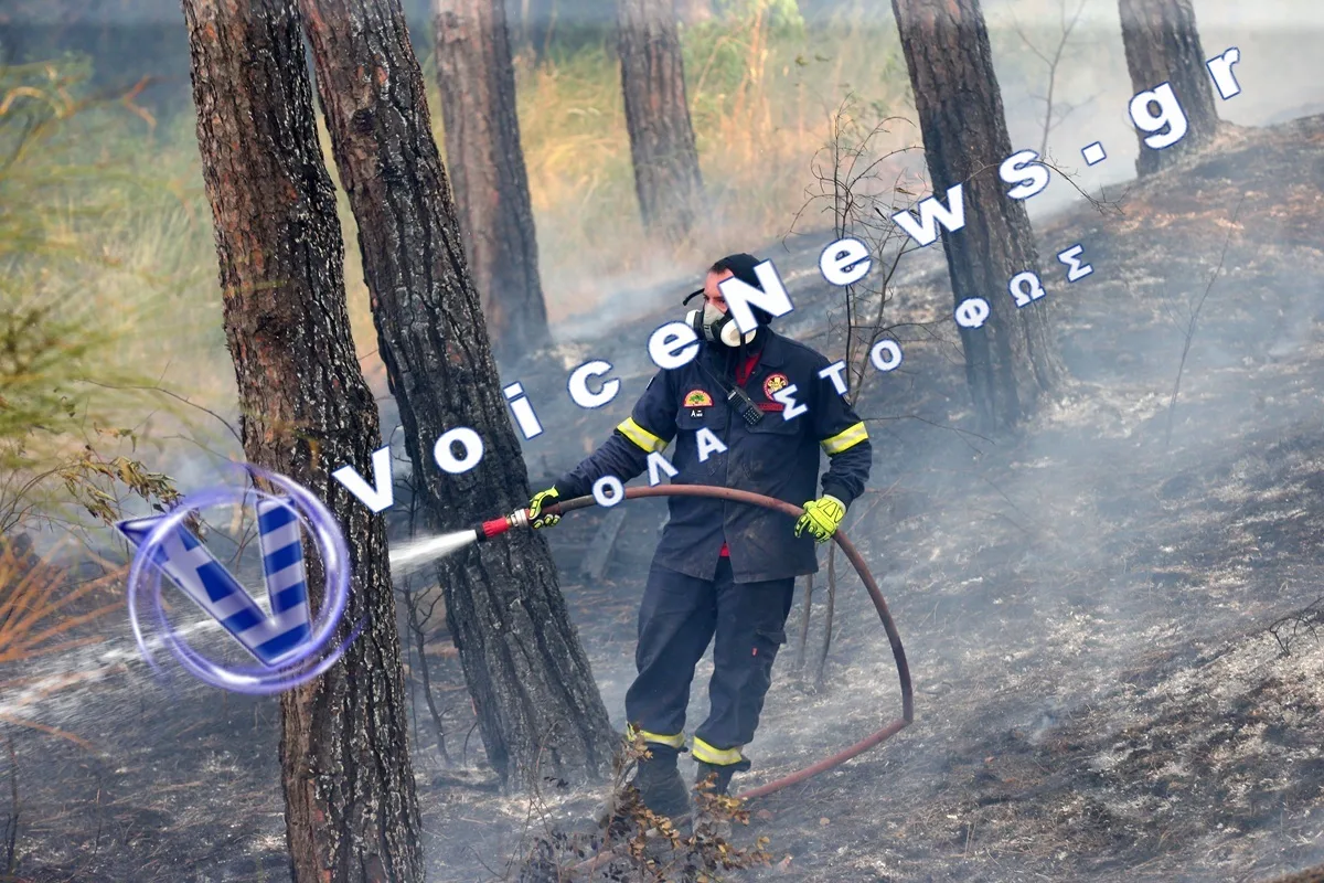 Αγρίνιο: Οριοθετήθηκε η φωτιά στη Μεγάλη Χώρα – Άμεση κινητοποίηση επίγειων και εναέριων δυνάμεων