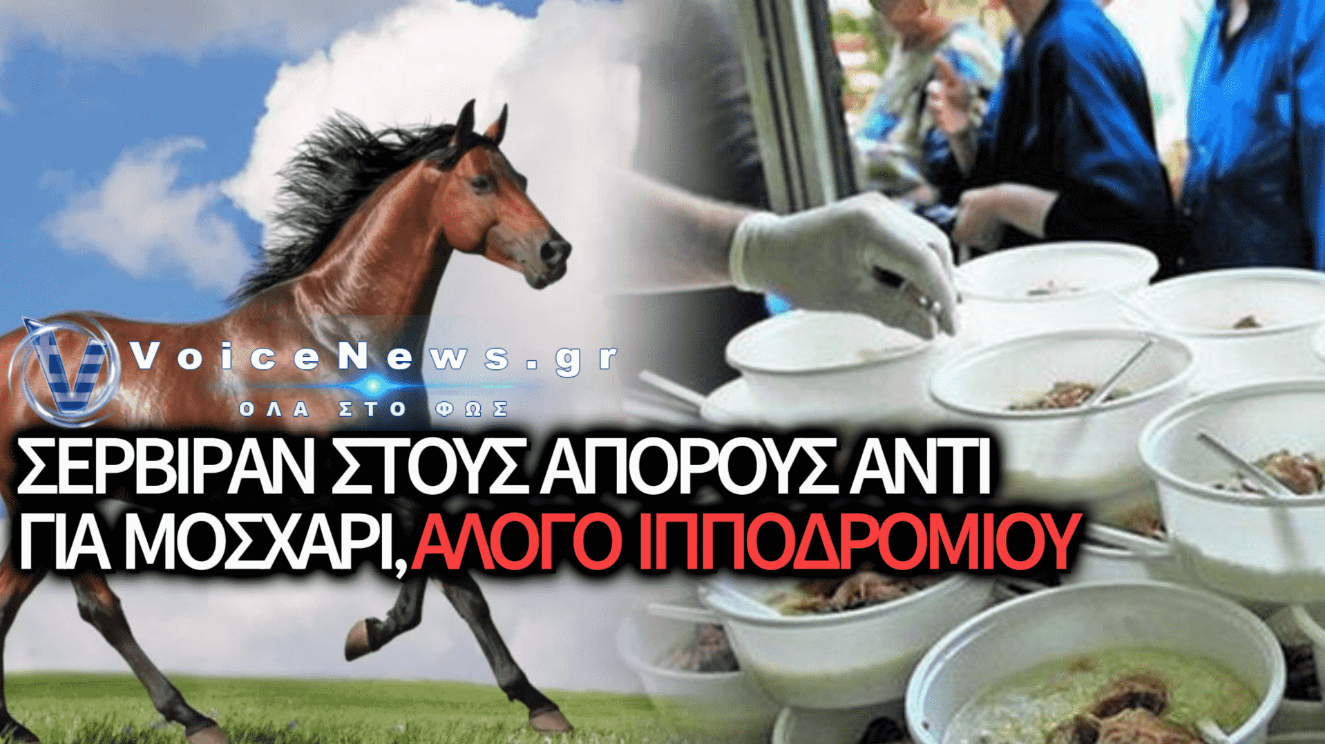ΤΑΙΣΑΝ ΑΛΟΓΟ ΑΓΩΝΩΝ… ΓΙΑ ΜΟΣΧΑΡΙ ΣΕ ΣΥΣΣΙΤΙΟ! Ο ΑΣΤΕΓΟΣ ΠΑΡΑΛΙΓΟ ΝΑ ΚΑΤΑΠΙΕΙ ΤΟ ΜΙΚΡΟΤΣΙΠ ΤΟΥ!