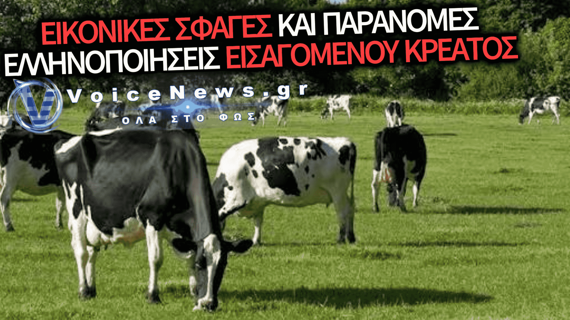 ΓΑΛΑΖΙΟ ΠΑΡΤΙ ΕΠΙΔΟΤΗΣΕΩΝ ΣΤΑ ΒΟΟΕΙΔΗ ΒΑΖΕΙ ΤΟ «ΚΕΡΑΣΑΚΙ ΣΤΗΝ ΤΟΥΡΤΑ» ΤΩΝ ΣΚΑΝΔΑΛΩΝ ΟΠΕΚΕΠΕ.