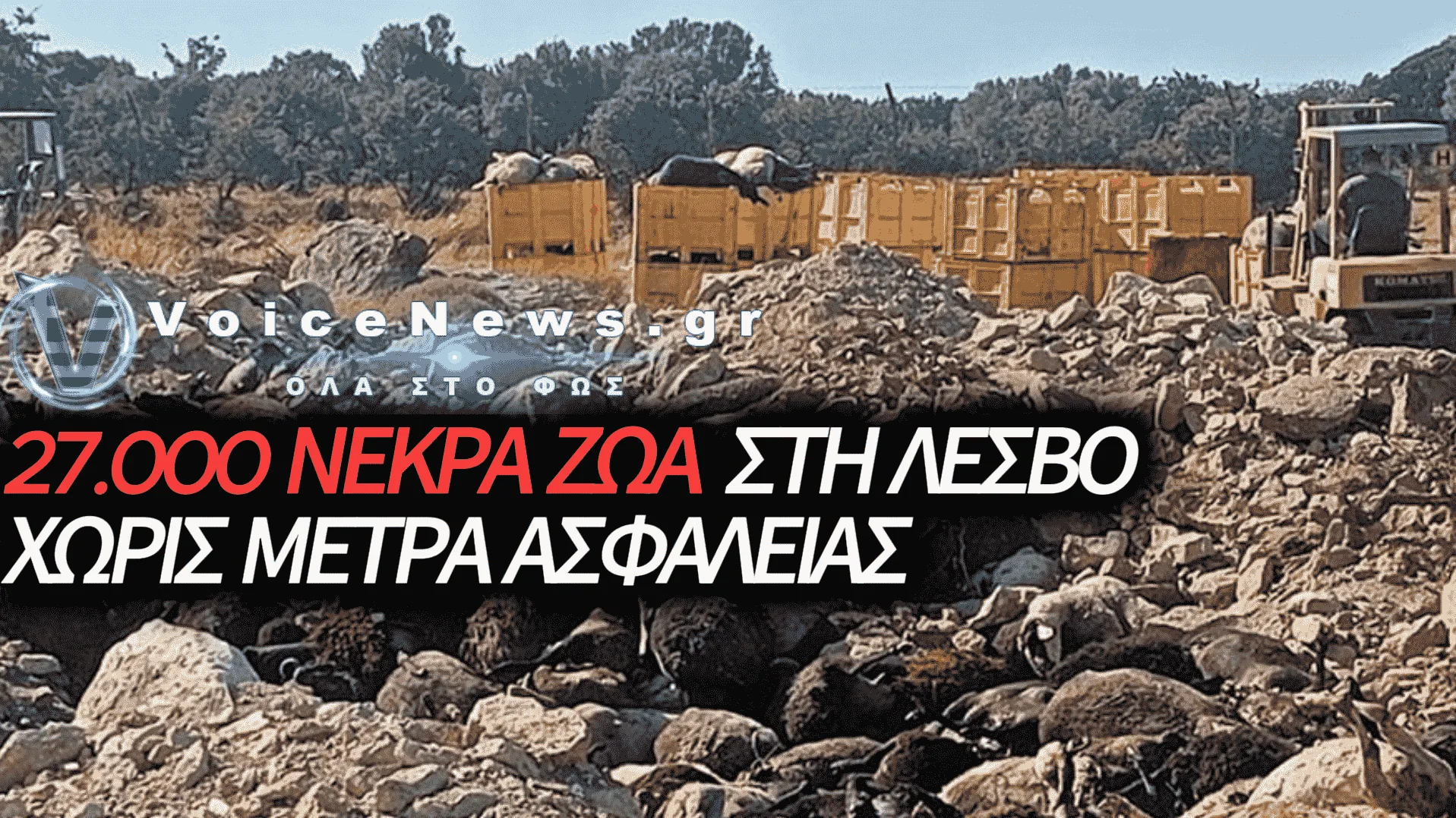 ΕΓΚΛΗΜΑΤΙΚΗ ΑΝΙΚΑΝΟΤΗΤΑ ΤΗΣ ΚΥΒΕΡΝΗΣΗΣ ΣΤΗ ΛΕΣΒΟ: 27.000 ΖΩΑ ΘΑΜΜΕΝΑ ΣΤΟΝ ΥΓΕΙΟΝΟΜΙΚΟ «ΚΟΛΑΣΟ» ΤΟΥ ΧΥΤΑ